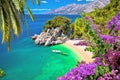 Idyllic beach Punta Rata in Brela aerial view