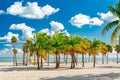 palm trees and a beach, with blue skies in the background Royalty Free Stock Photo