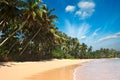 Idyllic beach. Sri Lanka Royalty Free Stock Photo