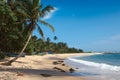 Idyllic beach. Sri Lanka Royalty Free Stock Photo