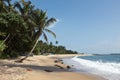 Idyllic beach. Sri Lanka Royalty Free Stock Photo