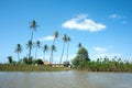 Idyllic Brazil landscape with Coconut Trees - Parnaiba River Royalty Free Stock Photo