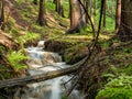 Idyllic brook forest in the Ore Mountains Royalty Free Stock Photo