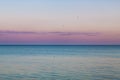 Idyllic calm sea horizon landscape with seagulls background