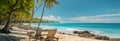 Idyllic coastal retreat: Lounge chairs, palm trees, and a tranquil beach scene Royalty Free Stock Photo