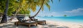 Idyllic coastal retreat: Lounge chairs, palm trees, and a tranquil beach scene Royalty Free Stock Photo