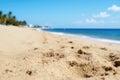 Idyllic coastline: sands and a turquoise ocean, a serene summer scene