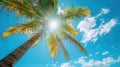 Idyllic Coconut Palm Tree against Clear Blue Sky Backdrop Royalty Free Stock Photo