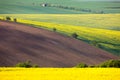 Idyllic Colorful fields landscape - countryside hills Royalty Free Stock Photo