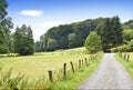 Idyllic country road