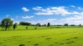 Idyllic Countryside Amidst Lush Green Fields Under Blue Sky. GenerativeAI Royalty Free Stock Photo