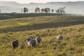 Idyllic countryside landscape of Batovi Hill, Uruguay