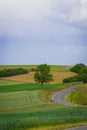 Idyllic countryside panoramic view. Green meadow, hills, field and road under blue sky Royalty Free Stock Photo