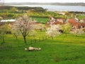 Country life landscape at lake by spring