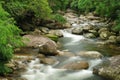 Idyllic Creek on Tropical Island Royalty Free Stock Photo
