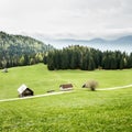 Idyllic dairy farms on alpine meadow