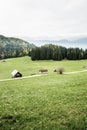 Idyllic dairy farms on alpine meadow