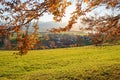 Idyllic destination rural villag Aidling, beech branches with autumnal leaves, bavaria