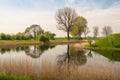 Idyllic Dutch landscape in springtime Royalty Free Stock Photo