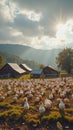 Idyllic farm landscape with chickens and ducks under morning sunlight Royalty Free Stock Photo