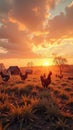 Idyllic farm sunrise with chickens amidst warm glowing sky and silhouetted trees Royalty Free Stock Photo