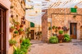 Idyllic flowers and plants pots decoration in Valldemossa, famous village on Majorca, Spain Royalty Free Stock Photo