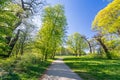 Idyllic foot path in a beautiful park on a sunny spring day Royalty Free Stock Photo