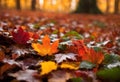 Idyllic forest scene featuring dried leaves blanketed around a sunlit clearing, AI-generated.