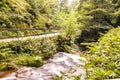 Idyllic forest waterfall in Arheiligen