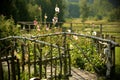 Idyllic garden with mallows Royalty Free Stock Photo
