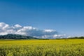 Idyllic green fields with vibrant blue sky Royalty Free Stock Photo