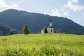 Idyllic green hilly landscape near achenkirch, with pilgrimage chapel and green pasture