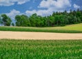 Idyllic green summer farmland countryside with forest and a pile of woods Royalty Free Stock Photo