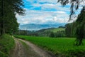 Hornischegg - Idyllic hiking trail through alpine forest with panoramic view of majestic mountain peak in Mur Valley