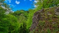 Rein - Idyllic hiking trail through lush green forest in Grazer Bergland, Prealps East of the Mur, Styria, Austria Royalty Free Stock Photo