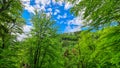 Rein - Idyllic hiking trail through lush green forest in Grazer Bergland, Prealps East of the Mur, Styria, Austria Royalty Free Stock Photo