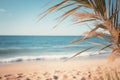 Idyllic image showcasing sunlit palm leaves set against the backdrop of the serene ocean. Perfect for tropical, beach, a Royalty Free Stock Photo