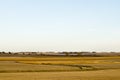 Idyllic Iowa landscape after harvest Royalty Free Stock Photo