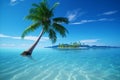 Idyllic Island Escape. Lush Green Palm Tree, Serene Waters of the Clear Blue Sea