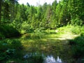 Idyllic lake Kreda near Mojstrana in Vrata valley, Slovenia and a reflection of the trees in the lake