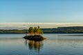 Idyllic lake landscape with a small island with trees under a cloudless blue sky Royalty Free Stock Photo