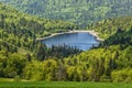 Idyllic lake Le lac de la lande surrounded by green forest, landscape in french Alsace on Route of Crete, France, Europe