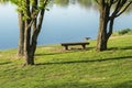 Idyllic lake with recreational facilities and recreational area in the spring with Canada goose on the shore Royalty Free Stock Photo