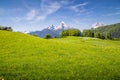 Idyllic landscape in the Alps with blooming meadows and snowcapped mountain peaks in springtime Royalty Free Stock Photo