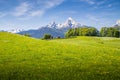 Idyllic landscape in the Alps with blooming meadows and snowcapped mountain peaks in springtime Royalty Free Stock Photo