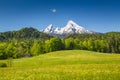 Idyllic landscape in the Alps with blooming meadows and snowcapped mountain peaks in springtime Royalty Free Stock Photo