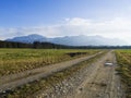 Idyllic landscape in the Alps with fresh green meadows and blooming flowers Royalty Free Stock Photo