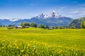 Idyllic landscape in the Alps with fresh green meadows