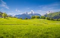 Idyllic landscape in the Alps with fresh green meadows Royalty Free Stock Photo