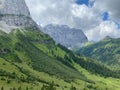 Idyllic landscape in the Alps with fresh green meadows, snowcapped mountain tops in the background. Royalty Free Stock Photo